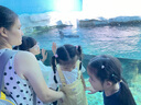 皇兒兒童沙灘玩具寶寶海邊玩沙挖沙鏟子水桶沙漏挖土工具套裝沙池推車 曬單實拍圖