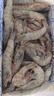 東上御品 國產(chǎn)青島大蝦 特大號(hào)白蝦 2030規(guī)格 凈重3斤 盒裝活凍 曬單實(shí)拍圖