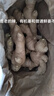 聽(tīng)蔬有機(jī)生姜3斤5斤 老姜黃姜食療月子 榨汁調(diào)味生鮮食材匯無(wú)農(nóng)殘激素 生姜3斤裝 曬單實(shí)拍圖