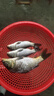 創(chuàng)威凌天高端競技線組成品線組配件魚線主線綁好結(jié)實(shí)耐拉黑坑主線組 無結(jié)快鎖4.5米單盤裝 1.5# 曬單實(shí)拍圖