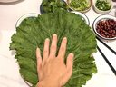 良知農(nóng)哥【順豐】東北新鮮白菜葉飯包大白菜葉子打包 新鮮蔬菜 10片菜葉+醬 空運 曬單實拍圖
