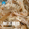 海鮮世家椒鹽風(fēng)味皮皮蝦400g 肉質(zhì)飽滿椒鹽家庭聚餐海鮮蝦爬子 曬單實(shí)拍圖