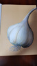 水果蔬菜大發(fā)現(xiàn)（一秒“透視”水果蔬菜內(nèi)部結(jié)構(gòu)，博洛尼亞童書展非虛構(gòu)類作品獎提名）浪花朵朵 曬單實拍圖