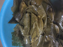 干海帶 霞浦日曬高品質(zhì)厚昆布 煲湯火鍋 曬干整顆海帶500g*2包 曬單實拍圖
