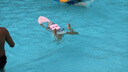 李寧LI-NING 浮板 EVA優(yōu)質(zhì)打水板 兒童背漂板方形打水板防滑LNQT043-1粉色 曬單實(shí)拍圖