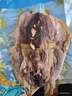 傾海之宴 精選墨魚干 S3 200g 淡曬目魚干烏賊干 海鮮特產(chǎn)海產(chǎn)品干貨 曬單實拍圖