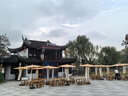 夢華錄中式油紙傘大傘仿古戶外防水遮陽復(fù)古太陽庭院傘傳統(tǒng)古風(fēng) 淺黃色 夢華錄同款【現(xiàn)貨秒發(fā)】 半穿常規(guī)款 傘面直徑200cm 曬單實拍圖