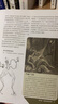 大腦的奧秘：人人要懂的腦科學(xué) 一本美得不像話(huà)的科普讀物記憶腦圖神經(jīng)科學(xué)書(shū)籍（全彩印刷 精美大圖 裸脊裝訂 平攤閱讀）【新華網(wǎng)百萬(wàn)爆文推薦】 曬單實(shí)拍圖