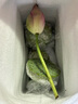 京鮮生 江西水果蓮蓬 凈重1斤 單支70g+ 新鮮水果 源頭直發(fā)包郵送荷花 曬單實拍圖