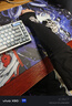 沃哈克Wallhack4.0電競(jìng)專用飛袖Skypad3.0鋼化玻璃鼠標(biāo)墊冰袖FPS吃雞游戲 Frenzy Sora-有指 L/XL碼 曬單實(shí)拍圖