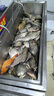 達億瓦（DAIWA） 一擊未來  鰱鳙竿 輕量大物/黑坑/綜合 臺釣竿28調(diào)魚竿釣魚手桿 8.1m F81（輕量大物） 曬單實拍圖