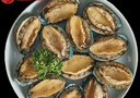 江船長 冷凍鮑魚 凈重160g(18-22粒)袋裝 火鍋燒烤食材 海鮮生鮮 曬單實拍圖