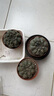 緋花玉開花仙人球小盆栽帶花苞多肉植物仙人掌陽臺室內(nèi)好養(yǎng)綠植 緋花玉6cm左右 帶花苞發(fā)貨 帶盆栽好 曬單實(shí)拍圖