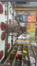 互視達 多媒體教學(xué)一體機觸摸屏會(huì )議平板電視電子白板教育培訓觸摸一體機投屏辦公遠程視頻智慧屏 i5/8G/128G+移動(dòng)支架 55英寸【HB-55】 曬單實(shí)拍圖