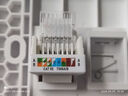 畢亞茲 網絡面板帶免打線模塊 六類千兆非屏蔽網口插座 RJ45水晶頭單口86型加厚電腦阻燃面板+模塊套裝 曬單實拍圖