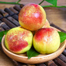 素味清歡正宗陜西彩虹梨當(dāng)季現(xiàn)摘紅皮早酥梨脆甜多汁孕婦新鮮水果應(yīng)季整箱 9斤精品大果裝【店主力薦】 曬單實(shí)拍圖