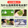 貢苑綠茶2025新茶 特級毛尖茶葉250g 明前嫩芽正宗栗香信陽口感自己喝 曬單實拍圖