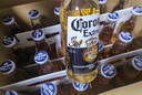 科羅娜（CORONA）特級(jí)啤酒330ml*24瓶啤酒整箱裝經(jīng)典拉格  曬單實(shí)拍圖