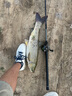 滿護(hù)將浮釣草魚線組全套路滑線組套裝路亞浮漂釣組通用浮標(biāo)漁漂 1米線長10g鉛墜帶燈+CR311電池 【掛耳即釣 魚訊靈敏】 曬單實(shí)拍圖