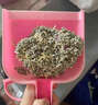 泌消通樂片貓狗寵物貓咪狗改善泌尿系統(tǒng)藥尿頻尿血貓尿閉狗尿道炎 1盒裝【當(dāng)天排尿】 曬單實(shí)拍圖