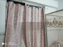 伊帘坊 窗帘成品加厚双面提花遮光布凤尾简约现代定制客厅卧室窗纱窗帘 粉色 2.0米宽*2.7米高打孔式可改高度 实拍图