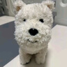 babycare&bctoys兒童毛絨玩具狗電子哈基米寵物玩偶節(jié)日生日禮物西高地犬 曬單實拍圖
