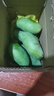 正宗小臺(tái)農(nóng)芒果 凱特芒果貴妃芒廣西桂七新鮮芒果水果包郵 桂七芒特大果凈重5斤 曬單實(shí)拍圖