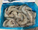 GUO LIAN國聯(lián) 生鮮鹽凍大蝦 無冰凈重3斤 鹽凍特大號45-60只 海產(chǎn)冷凍蝦 曬單實拍圖