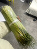 2025年新鮮蒜苔5斤河南蒜苔新鮮超嫩蒜苗心蒜薹蒜臺(tái)整箱批發(fā)包郵 1斤 曬單實(shí)拍圖