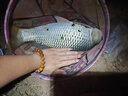 漁之源釣魚傘防雨垂釣加厚多向釣傘漁具傘戶外釣魚遮陽傘 1.8米 【單層輕便 加厚黑膠】UPF50+更防曬 曬單實拍圖