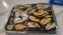十里饞連云港鮮活青口貝貽貝順豐特大新鮮大海虹鮮活淡菜 鮮活發(fā)貨【順豐】 10斤(凈重) 曬單實(shí)拍圖