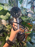 dyson戴森【官翻機(jī)】HD16 官方翻新吹風(fēng)機(jī) Dyson Supersonic 電吹風(fēng) 負(fù)離子 七夕禮物 Dyson官方質(zhì)保 HD16落日玫瑰色【非禮盒款】 曬單實(shí)拍圖
