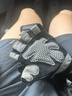 匹克健身手套男運(yùn)動(dòng)單桿引體向上器械訓(xùn)練防滑擼鐵啞鈴騎行半指手套L 曬單實(shí)拍圖