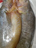 三都港 冷凍醇香黃魚(yú)鲞凈重1斤1條 三去黃花魚(yú) 燒烤食材 燒烤 曬單實(shí)拍圖