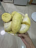 榴戀萊新鮮泰國進口金枕榴蓮水果鮮榴蓮時令 巴掌新鮮榴蓮水果 精選凈重2.2-3.2斤 曬單實拍圖