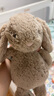 Jellycat害羞米色邦尼兔動(dòng)物毛絨玩偶安撫公仔娃娃生日七夕情人節(jié)禮物 米色 Medium 曬單實(shí)拍圖