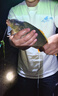 劉志強金袖子線(xiàn)雙鉤成品正品綁好魚(yú)鉤防纏無(wú)倒刺新關(guān)東袖鉤鯽魚(yú)鉤 金袖有刺60cm【鉤7+線(xiàn)1.2】 曬單實(shí)拍圖
