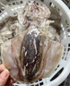 綠帝（GREEN KING）東海墨魚干454g 淡曬工藝 漳州東山海域 目魚干 海產(chǎn)干貨 曬單實(shí)拍圖