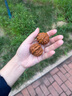 米家小米電吹風(fēng) 吹風(fēng)機 負(fù)離子護(hù)發(fā)可折疊 大風(fēng)力速干 H101 白色 CMJ04LXW 國家補貼 便攜出游 曬單實拍圖