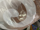乖卷核桃砂倉鼠尿沙蘆丁雞龍貓金絲熊祛味除臭墊料木屑兔子造景2.5kg 曬單實拍圖