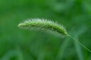 索尼SONY 索尼  FE 12-24 24-1.4 14-1.8 20F1.8 1020超廣角風(fēng)光/建筑FE 20-70mm F4 恒定光圈官方標配 曬單實(shí)拍圖