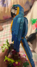 樂高（Lego）創(chuàng)意3合1系列31136異域鸚鵡男女生拼裝積木玩具 曬單實拍圖