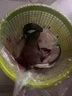 放心家去除死老鼠除臭劑發(fā)動機(jī)艙老鼠屎尿騷味異味除臭老鼠腐臭味除味劑 死老鼠異味消除劑【1瓶裝】 曬單實(shí)拍圖