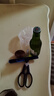 喜力旋蓋啤酒荷蘭原裝進(jìn)口喜力啤酒 Heineken皮爾森啤酒荷蘭本土喜力 24瓶荷蘭擰蓋喜力250ml 到10月31 曬單實(shí)拍圖