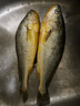 海名威 冷凍黃花魚700g/2條 寧德大黃魚地標(biāo) 海鮮水產(chǎn) 生鮮魚類  曬單實(shí)拍圖