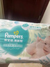 幫寶適（Pampers）清新透氣 清新幫 XL38片【清新幫紙尿褲】 曬單實(shí)拍圖