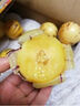 傾睦云南人參果石林大圓果黃肉甜人生果現摘孕婦時(shí)令現摘新鮮水果禮盒 5斤  大果80-110 g(禮盒包裝) 曬單實(shí)拍圖