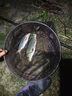 漢鼎拉力強(qiáng)線組鯽魚魚線成品主線釣魚線組套裝全配件用品線拉力強(qiáng)魚線 5.4m【新品綜合線組，2盤裝】 3.5號(hào) 曬單實(shí)拍圖