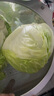 綠食者  球生菜5斤 西生菜圓生菜 漢堡用西餐沙拉色拉食材 健康輕食蔬菜 5斤 曬單實拍圖