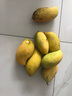 廣西金煌芒新鮮進(jìn)口水果當(dāng)季熱帶大青皮芒果整箱批發(fā)送禮品物盒 凈重5斤裝【蕞劃算】 甄選特級(jí)果【單果300g+】 曬單實(shí)拍圖